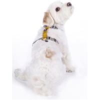 Nylon Hundegeschirr